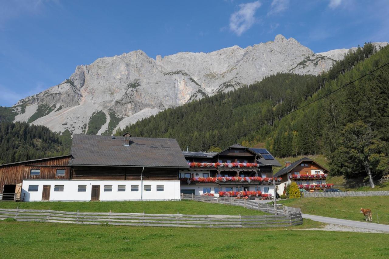 Feichtlehnerhof Bed & Breakfast Ramsau am Dachstein Eksteriør bilde