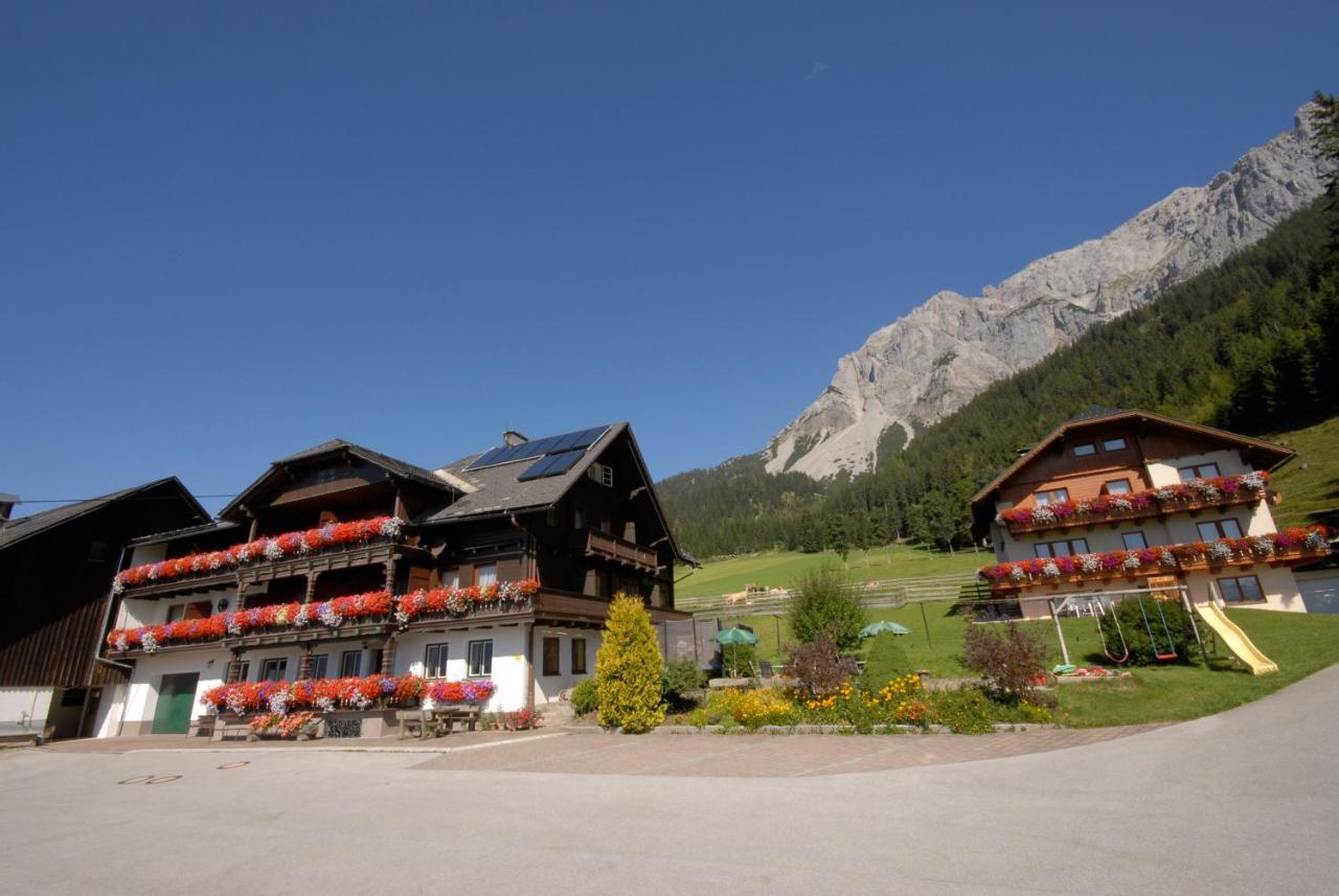 Feichtlehnerhof Bed & Breakfast Ramsau am Dachstein Eksteriør bilde